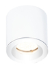 Plafon Maxlight FORM C0215 biały