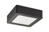 Lampa sufitowa Rabalux Shaun 2689 czarny