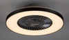 Lampa sufitowa Rabalux Dalfon 6858 srebrny