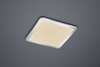 Lampa sufitowa Trio 656512006 srebrny