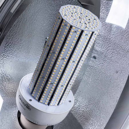 Żarówka LED Greenie Alu Corn 86W E40 CS dookólna 1160diod smd biała naturalna