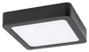 Lampa sufitowa Rabalux Shaun 2689 czarny