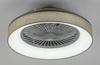 Lampa sufitowa Rabalux Benicio 5420 popielaty