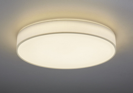 Lampa sufitowa Trio 621915501 biały