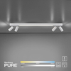 Lampa sufitowa Paul Neuhaus PURE-LINES 6121-95 szary
