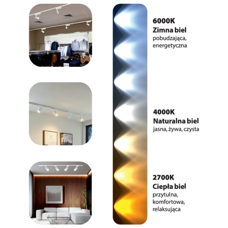 Blaupunkt Reflektor LED 1-fazowy Vision 30W biały z przełącznikiem barwy światła