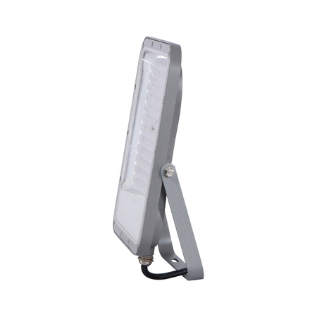 Naświetlacz Italux FD-23913-100W Szary