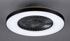Lampa sufitowa Rabalux Dalfon 6858 srebrny