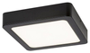 Lampa sufitowa Rabalux Shaun 2689 czarny