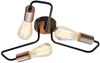 Lampa sufitowa Candellux 33-66916 Herpe