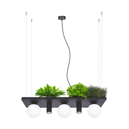 Lampa wisząca na rośliny Zuma Line Plant Shelf 5555 