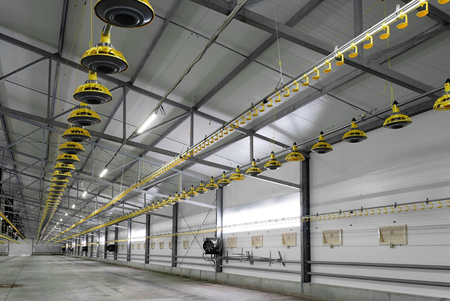 Lampa liniowa LED GrowBooster T8 1200mm 20W ściemniana do hodowli brojlerów