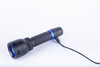 Latarka LED Blaupunkt Flash Patrol 1000lm IPX4