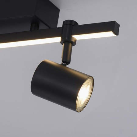Lampa sufitowa Paul Neuhaus BARIK 6524-18 czarny