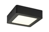 Lampa sufitowa Rabalux Shaun 2689 czarny