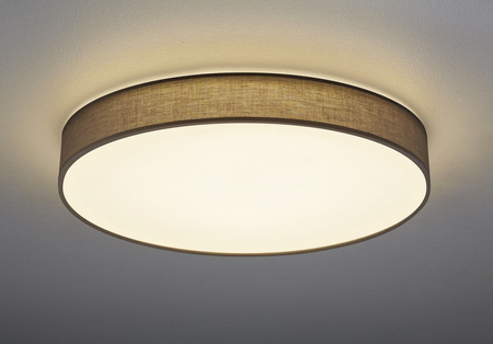 Lampa sufitowa Trio 621915511 szary
