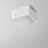 Plafon AQform Only Square LED Surface Biały Struktura