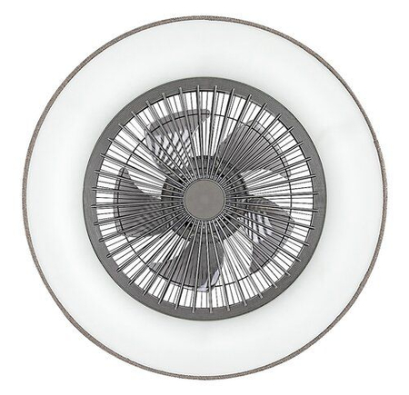 Lampa sufitowa Rabalux Benicio 5420 popielaty