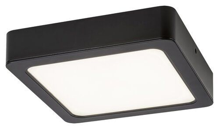Lampa sufitowa Rabalux Shaun 2689 czarny
