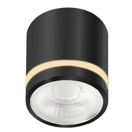 Spot Azzardo VICI IP44 12W CCT SWITCH BK AZ6039 BLACK