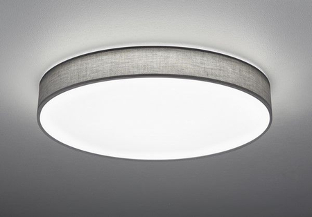 Lampa sufitowa Trio 621915511 szary