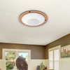 Lampa sufitowa Rabalux Patricia 2466 przeźroczysty