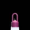 Lampa zewnętrzna dekoracyjna Ares 500003 LaDina