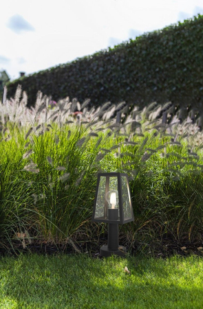 Lampa zewnętrzna Lutec FIA 7290901012 czarny