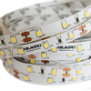 Milagro Taśma Led Premium 120/m 6000K IP20 5m ML4753