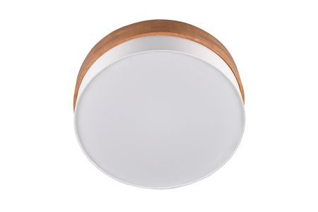 Lampa sufitowa Trio 611500301 srebrny