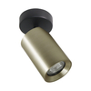 Spot Zuma Line TLS006-GLD TORE LAMPA SUFITOWA ZŁOTA/GOLD