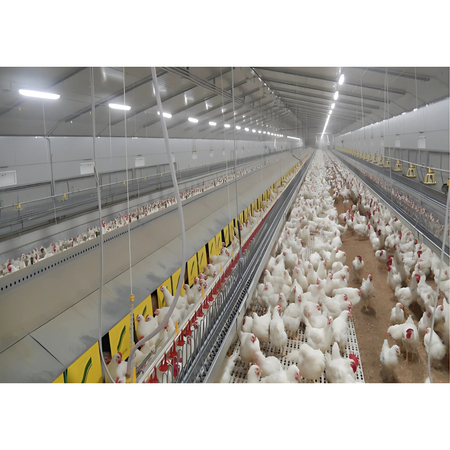 Lampa liniowa przemysłowa LED Greenie SensoTube 60W typu Triproof IP69K 4000K