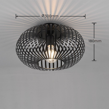 Lampa sufitowa Trio 606903032 czarny
