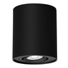 Lampa sufitowa Rabalux Kobald 2047 czarny matowy