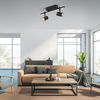Lampa sufitowa Paul Neuhaus BARIK 6524-18 czarny