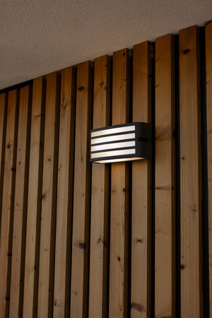 Kinkiet zewnętrzny Lutec ZEBRA 5203501118 szary