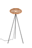 Lampa podłogowa Trio 412300136 czarny
