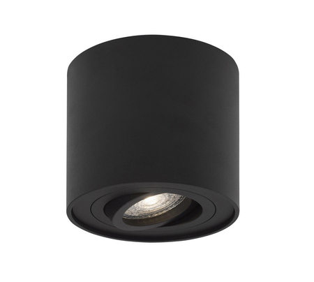 Lampa sufitowa Luces Exclusivas CARRIZAL LE61426 czarny