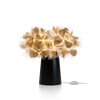 Lampa stołowa Slamp CLIZIA - MAMA NON MAMA GOLD - DARK BASE S CLITS00GNM00000BLBEU złoty