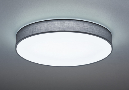 Lampa sufitowa Trio 621915511 szary