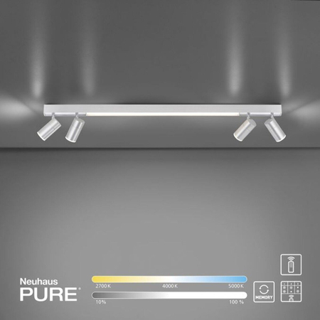 Lampa sufitowa Paul Neuhaus PURE-LINES 6121-95 szary