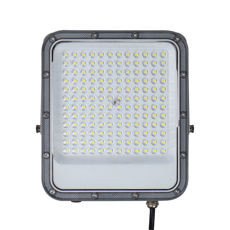 Naświetlacz Italux FD-23913-100W Szary