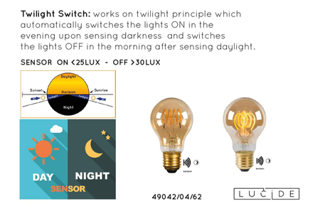 Żarówka Lucide LED BULB 49042/04/62 