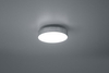 Lampa sufitowa Trio 621911211 srebrny