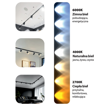 Reflektor 3-fazowy Blaupunkt Vision 30W CCT Ściemnialny z regulowaną barwą świecenia