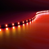 Eko-Light TAŚMA 60 LED 24W. Barwa Czerwony. IP65. (5 metrów) EKPL9168