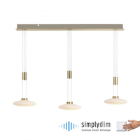 Lampa wisząca Paul Neuhaus LAUTADA 2081-60 mosiądz
