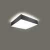Sollux Lighting Plafon HORUS 25 szary SL.0143