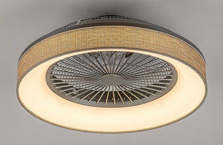 Lampa sufitowa Rabalux Benicio 5420 popielaty