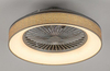 Lampa sufitowa Rabalux Benicio 5420 popielaty